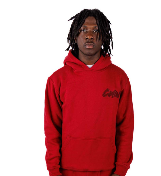 HOODIE BASIC DISTRESSED RED